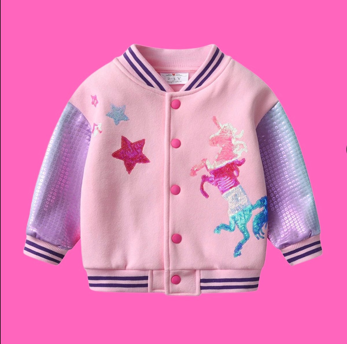 Unicorn Fall/Winter